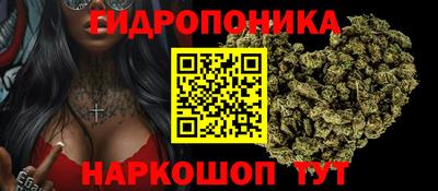 прущие грибы Малгобек